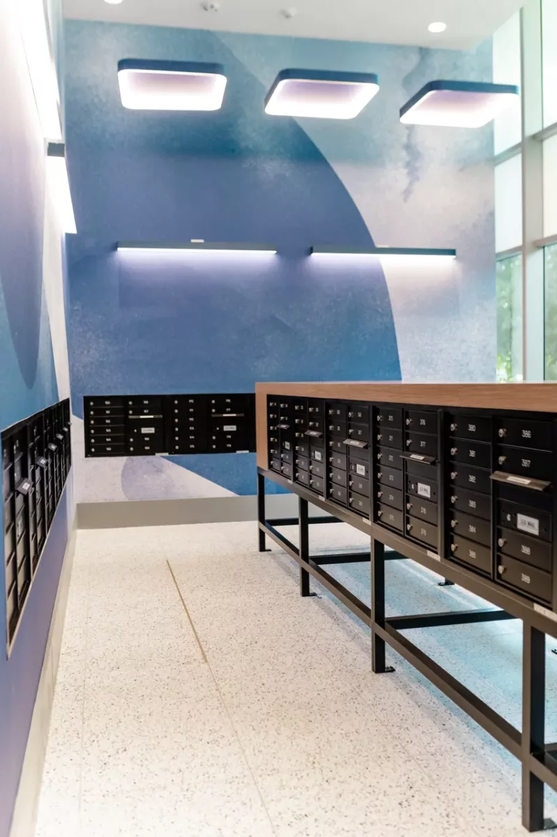 Modern mailroom with black mailboxes, blue accent wall, and overhead lighting