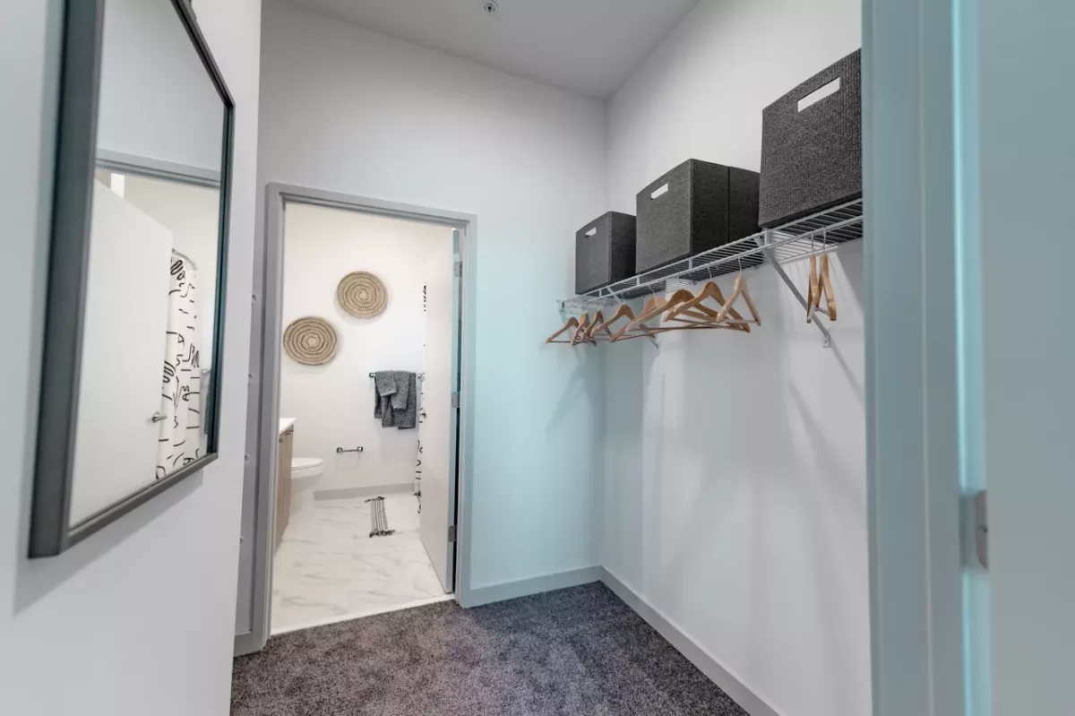 Walk-in closet with hanging rod, storage bins, wall mirror, and carpeted floor